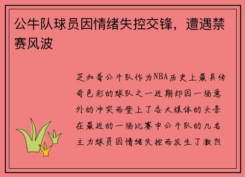 公牛队球员因情绪失控交锋，遭遇禁赛风波