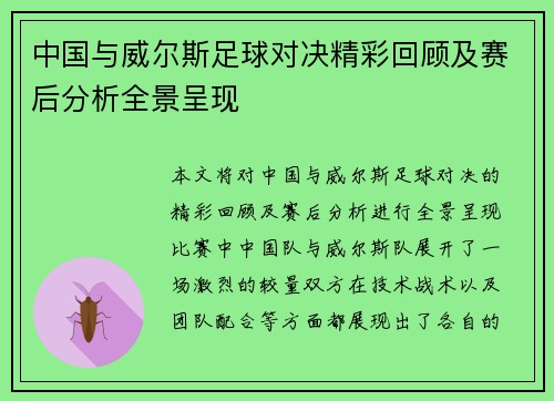 中国与威尔斯足球对决精彩回顾及赛后分析全景呈现